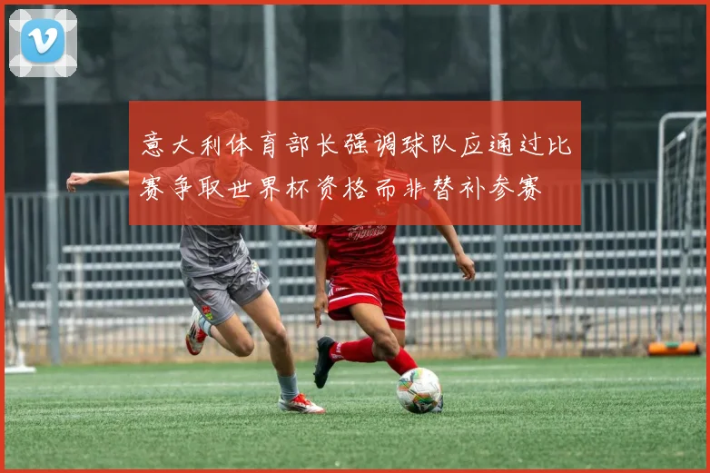 意大利体育部长强调球队应通过比赛争取世界杯资格而非替补参赛